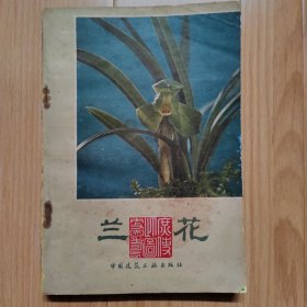 兰花 沈渊如 沈荫椿著 1版1印图片清晰 沈荫椿先生2021年1月在美国因新冠逝世 纪念之