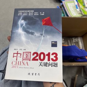 中国2013：关键问题