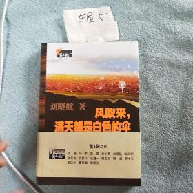 风吹来，满天都是白色的伞