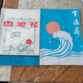 北京工业学院通讯社 《雪浪花》创刊号，诗歌 散文 小说等两册合售