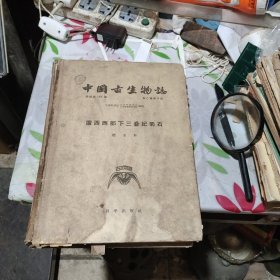 中国古生物志：广西西部下三叠记菊石