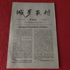 D城步农村期刊:第34期