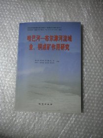 哈巴河-布尔津河流域金、铜成矿作用研究