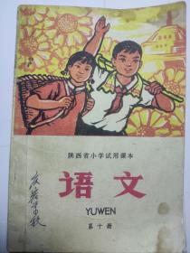 语文（第十册）