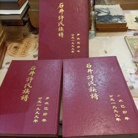 石井许氏族谱(上中下)