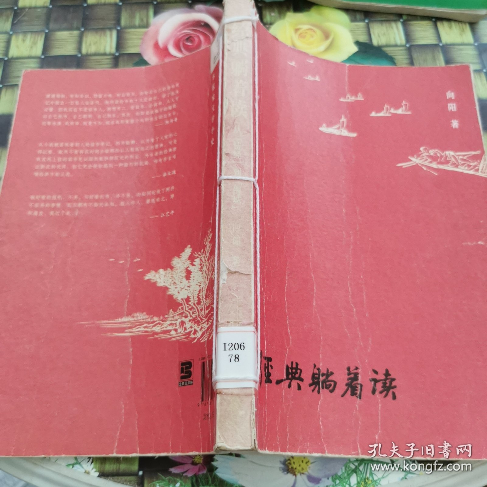 经典躺着读：从《诗经》到《围城》 馆藏 正版 无笔迹