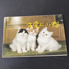 明信片（可爱的小猫）9张   存放一号桌三层