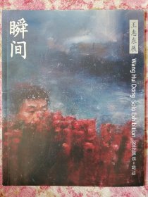 瞬间 王惠东展