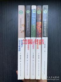 素质教育在美国.全新修订版：1.素质教育在美国+2.这样教孩子更有效+3.玩的教育+4.智慧孩子是怎么炼成的+5.走出家庭教育的误区（5本合售）