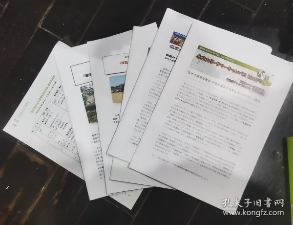 日文考古-北京大学：中国古代史.中原考古学、河西走廊、草原.王朝遗迹、西安考古视察、南宋文化、行程单1张（2010-2015年、缺2013年）