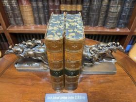 英国宪政史 The consititutional history of England
Thomas Erskine May是一位英国政治家和法学家，以其对议会程序和宪法的研究而闻名。他是英国议会制度和宪政的权威，被誉为“议会程序之父”，他的著作被视为议会制度和宪政研究的经典之作，对于理解和塑造现代议会制度和宪政具有重要影响。
摩洛哥羊皮装帧，罕见封面、环衬、书口同花。