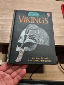 VIKINGS 外文原版