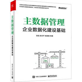 主数据管理：企业数据化建设基础(博文视点出品)（精装版）