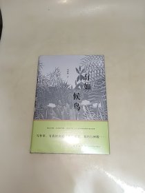 有如候鸟 未开封