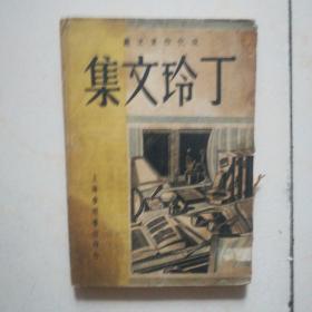 现代作家文丛第八集---丁玲文集