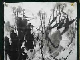 金纪顺，山东画家。花鸟三尺软片