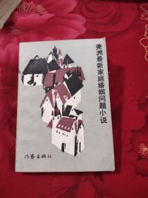 美洲最新家庭婚姻问题小说，9元包邮，
