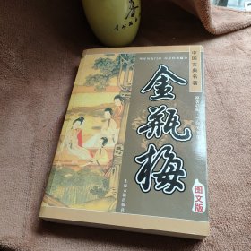 中国文学四大名著：金瓶梅 图文版