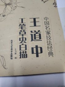 中国名家技法经典：王道中工笔草虫白描