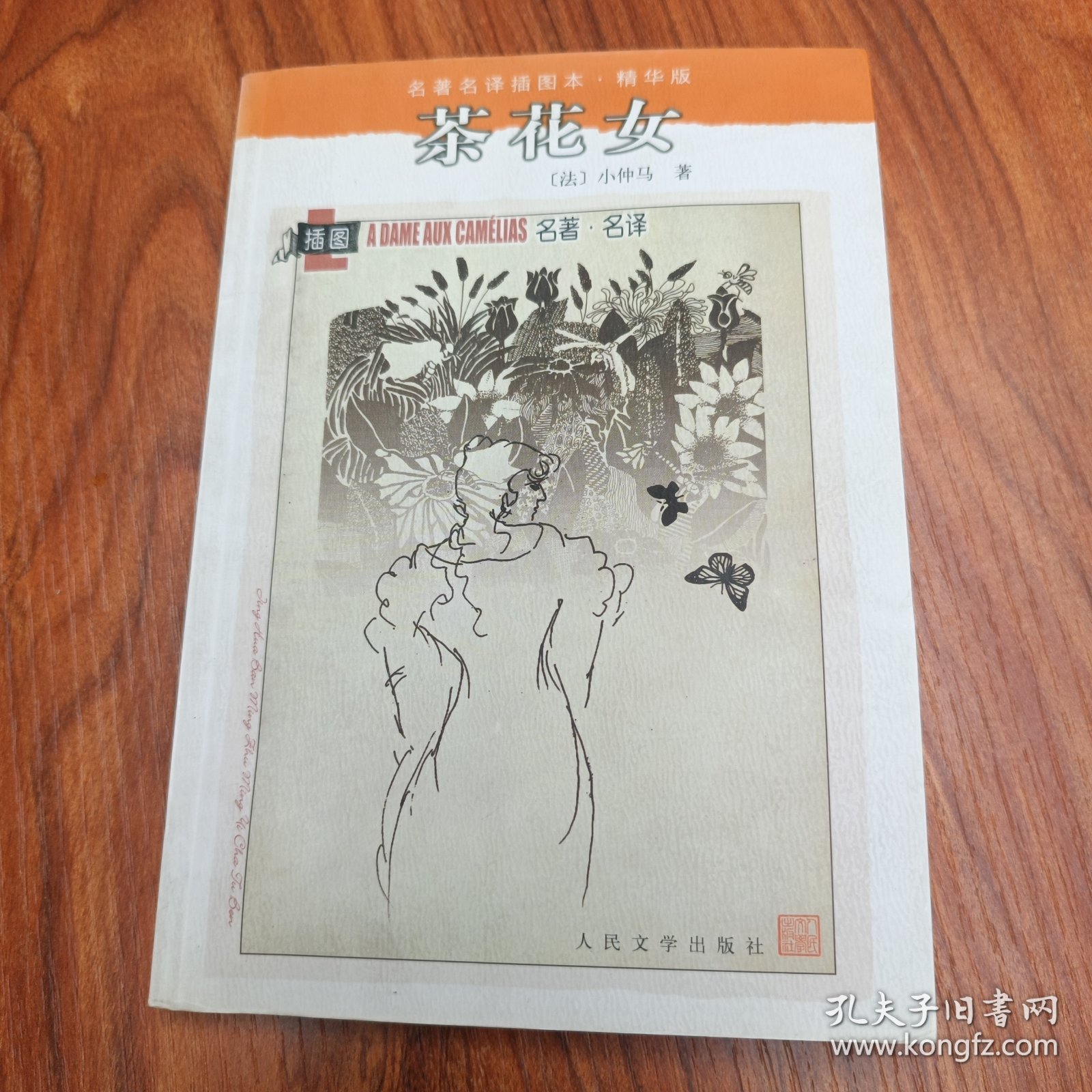 （名著名译插图本：精华版）茶花女