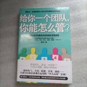 给你一个团队，你能怎么管？