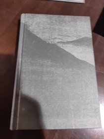 中国文学的美感
