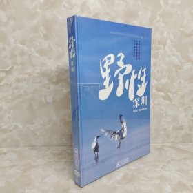 野性深圳DVD