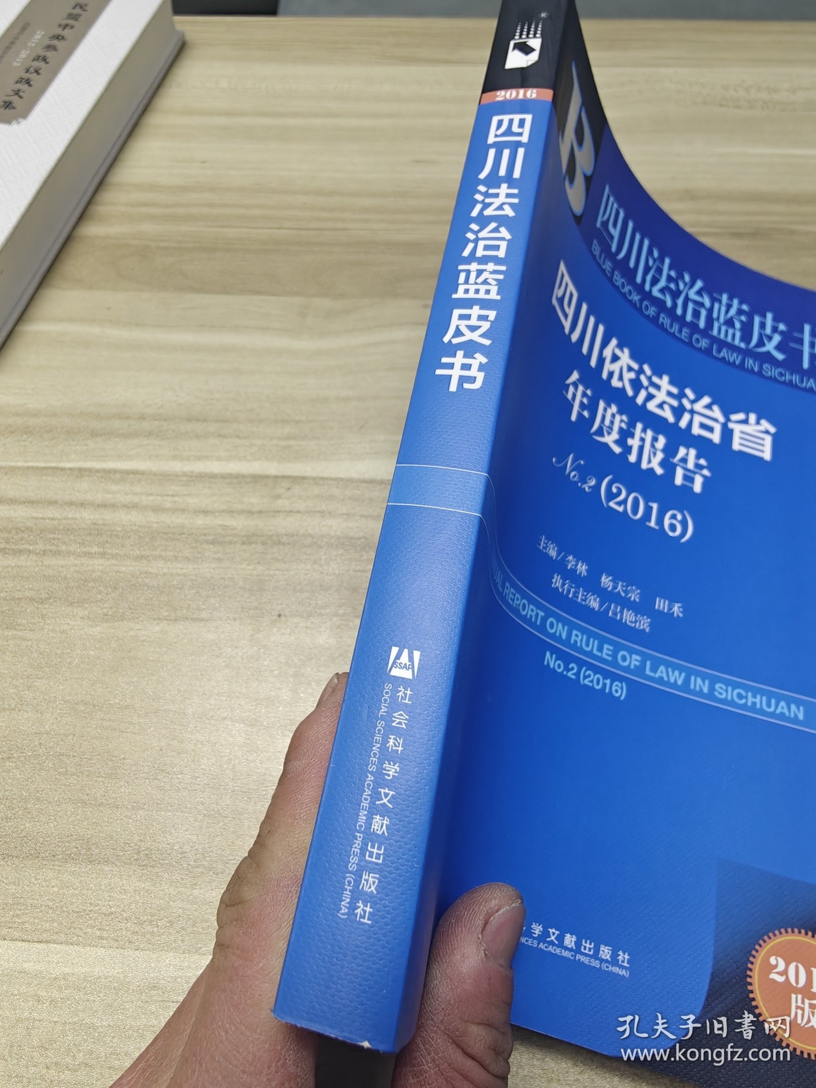 四川依法治省年度报告No.2（2016）