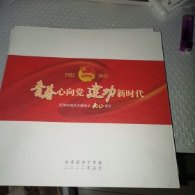 青春心向党建功新时代 庆祝中国共青团成立100周年 （济宁共青团）