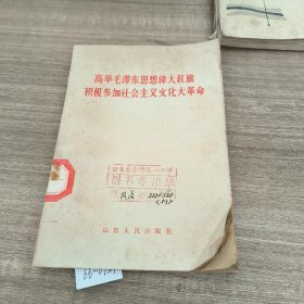 高举毛泽东思想伟大红旗积极参加社会主义