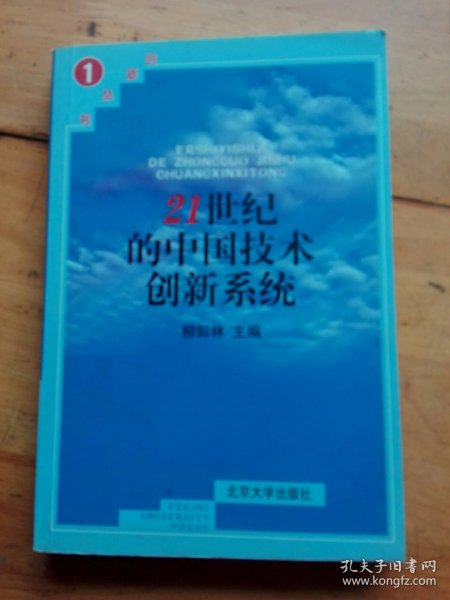 21世纪的中国技术创新系统