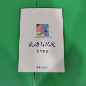 流动与沉淀：哲学断章