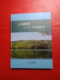 云南林业“十三五”发展规划研究