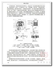 全新正版 粮食工程导论(高等学校粮食工程专业教材) 编者:林亲录//杨玉民 9787518422098 轻工