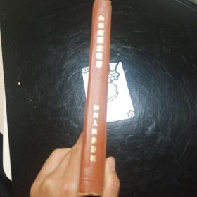 向西北西南进军 精装