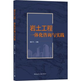 岩土工程一体化咨询与实践