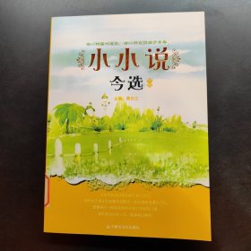 小小说今选