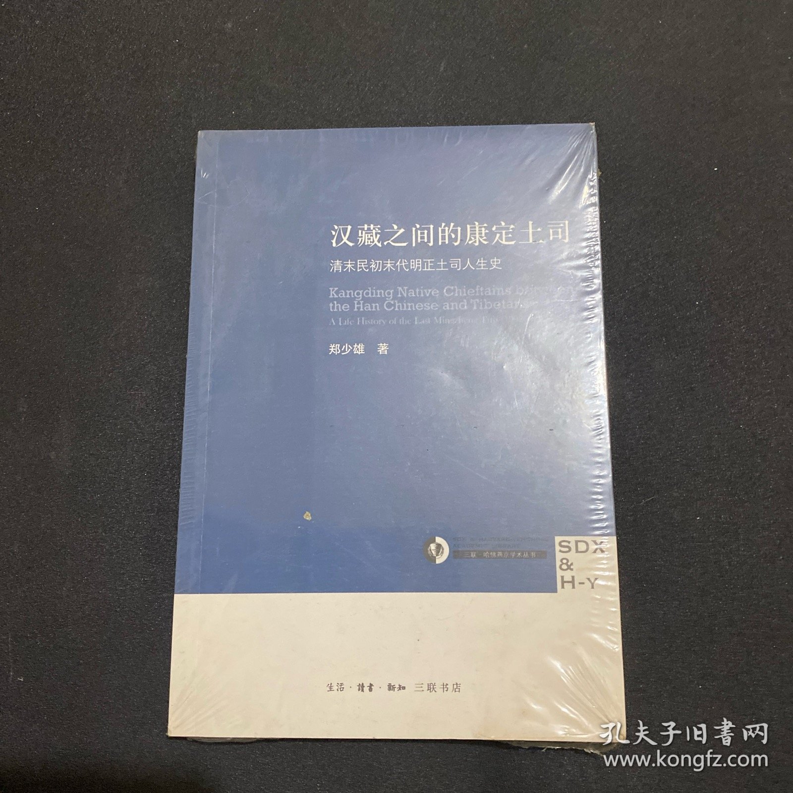 汉藏之间的康定土司：清末民初末代明正土司人生史