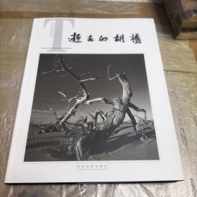 逝去的胡杨 张美寅黑白摄影作品