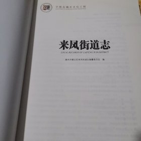 中国名镇志丛书—来凤街道志