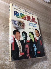 电脑灵龙:计算机世界的中华英雄