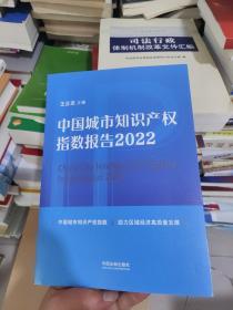 中国城市知识产权指数报告（2022）