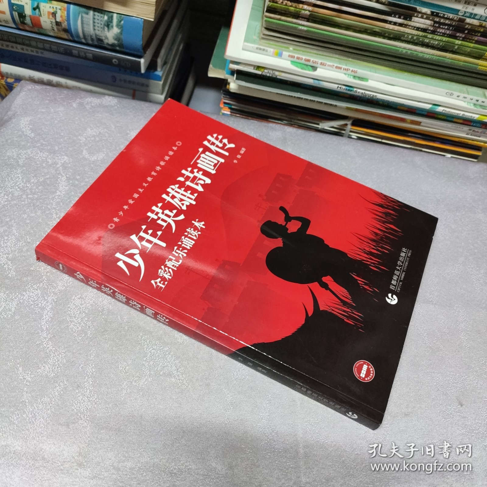 少年英雄诗画传 全彩配乐诵读本（内页干净无笔记）（原版现货）