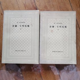 安娜卡列尼娜（上下全）【外国文学名著丛书】（网格本）