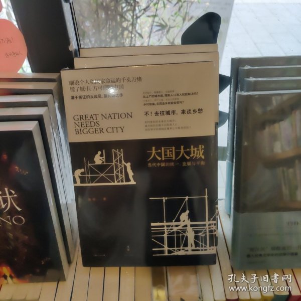 大国大城：当代中国的统一、发展与平衡