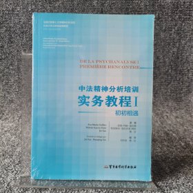 中法精神分析培训实务教程1:初初相遇