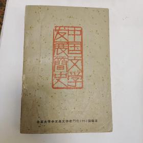 中国文学发展简史