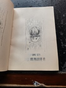 杜仲栽培（现货，内页无字迹划线）