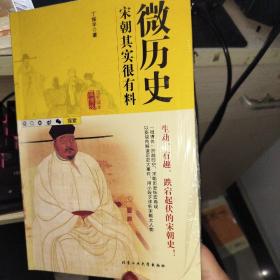 微历史：宋朝其实很有料