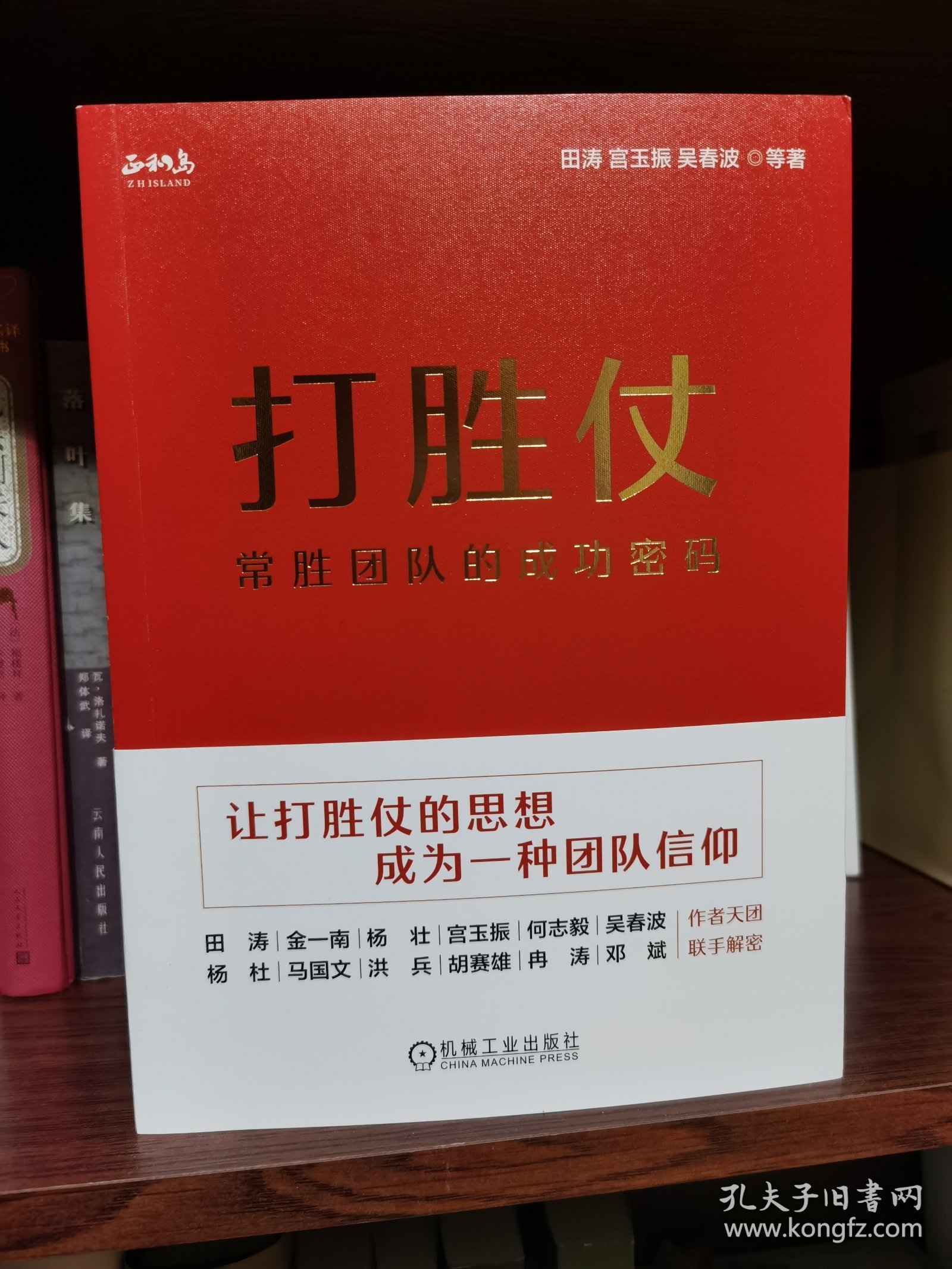 打胜仗:常胜团队的成功密码 田涛 宫玉振 吴春波 等
